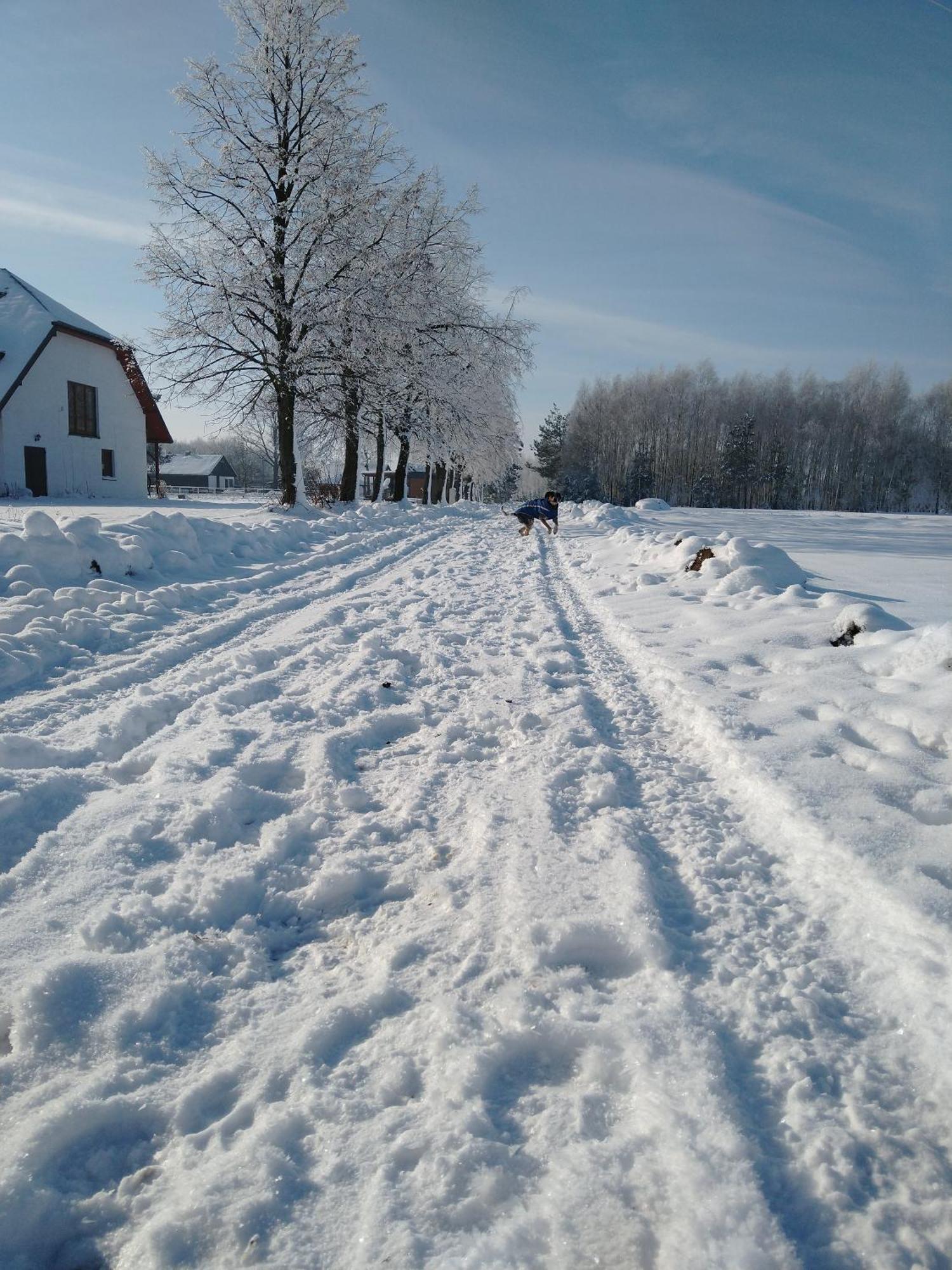 Domek Przy Stajni Bogdanowka Caloroczny Rossosz Exteriér fotografie