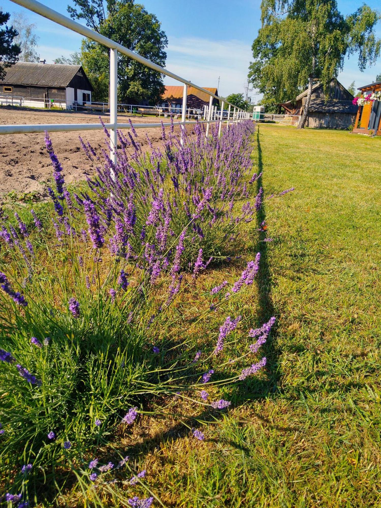 Domek Przy Stajni Bogdanowka Caloroczny Rossosz Exteriér fotografie